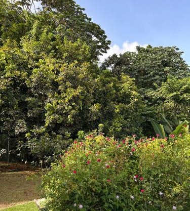 Villa Selma Martinique
