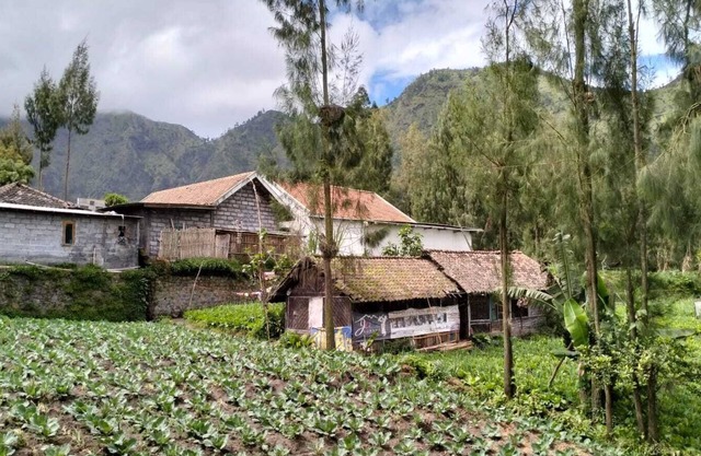 Villa Tengger Asri 5 Gunung Bromo