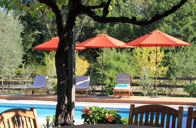 Villa Ticino - romántica y exclusiva vinícola - piscina, spa, petanca, vistas