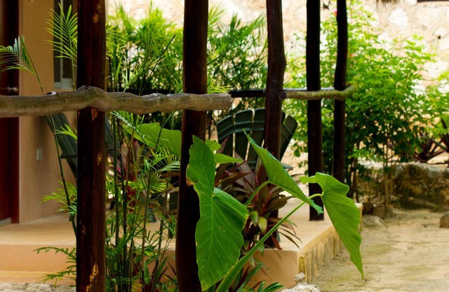 Villa Tortugas