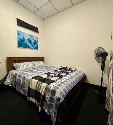 Villa Turtle