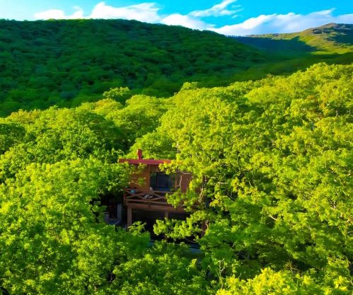 Villa Vejini cabin