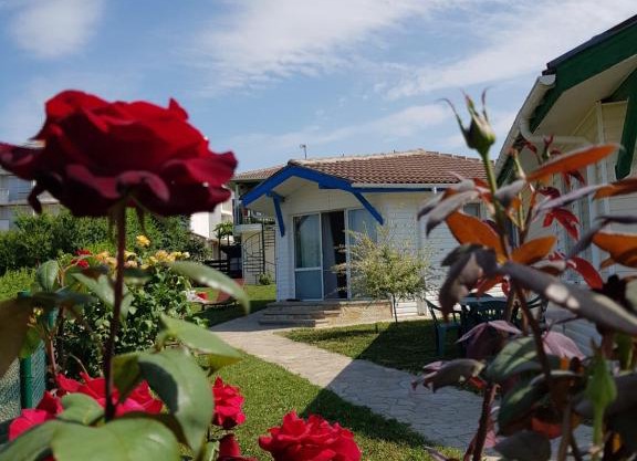 Villa Veneta