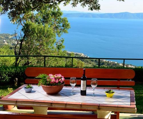 Villa Vesna