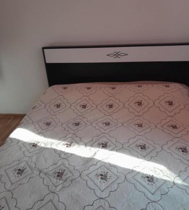 Village House for Rent in Balda