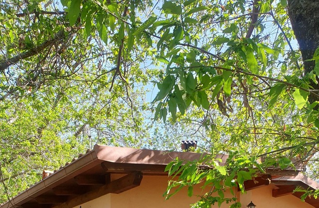 Villino surrounded by nature