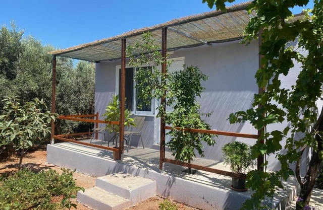 Vine Veranda