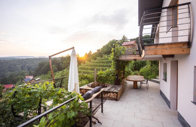 Vineyard cottage Sonce