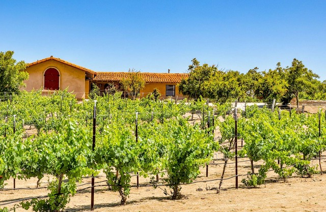 Vineyard getaway with fireplace, central AC, washer/dryer, and free WiFi