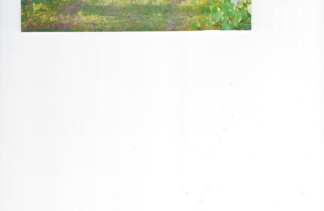 Vineyard Mountain Cabin and Camper Rental. Inquire Club Membership.