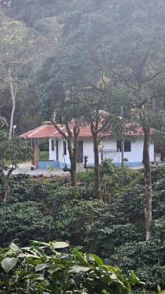 Vintara Homestay