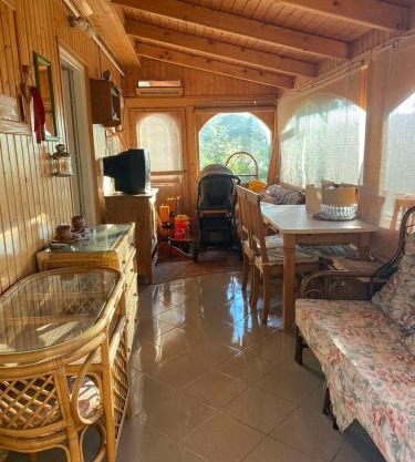 Viola villa