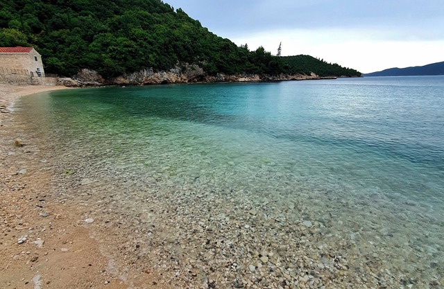 Violeta Hvar