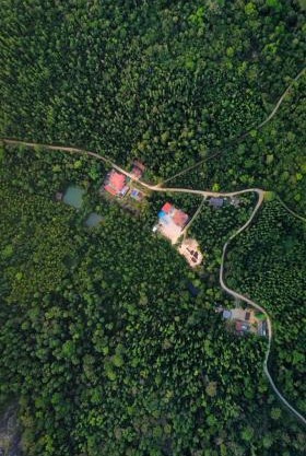 Vishwas Homestay - Mountain view and trekking