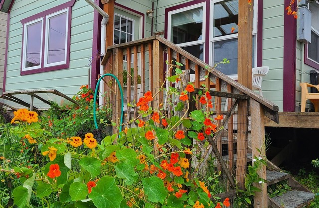 Visit and relax in Tenakee Springs
