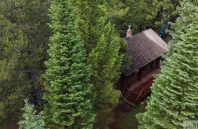 Visit Yellowstone and stay on Henrys Lake outlet