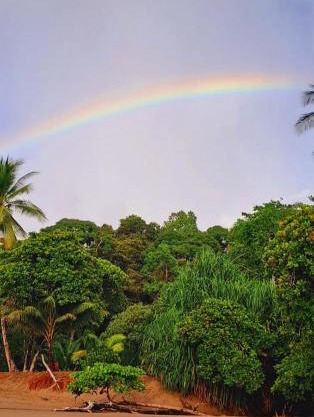 Vista Alta Ecolodge Bahia Drake