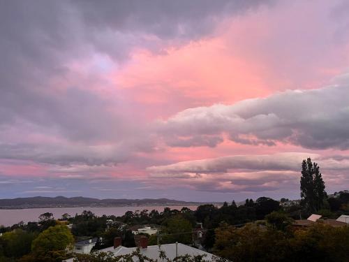 Vista Bliss