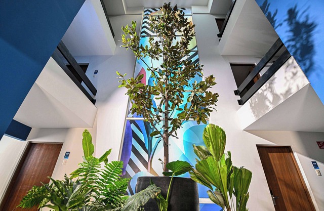 Vista Express Guadalajara Expo SureStay Collection by BW