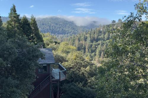 Vista Haus