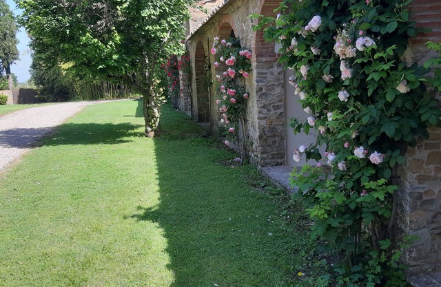 Tenuta di Vitiano - Arezzo (área)
