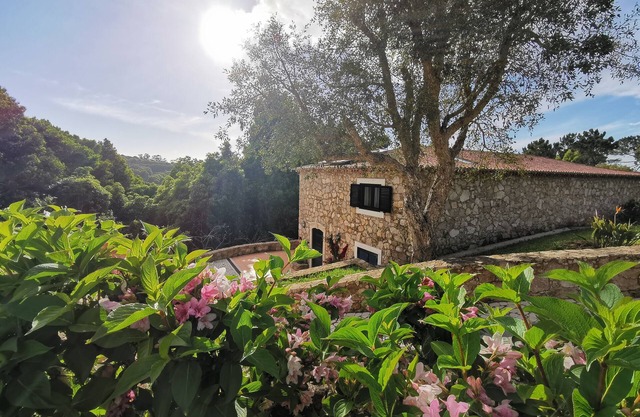 Vitorino Deluxe - at the heart of the natural park Sintra - Cascais
