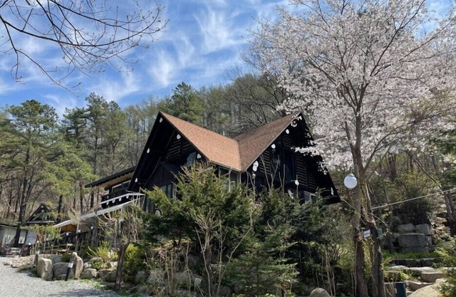 Vivaldi house