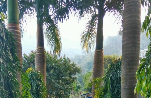 VNA Resort