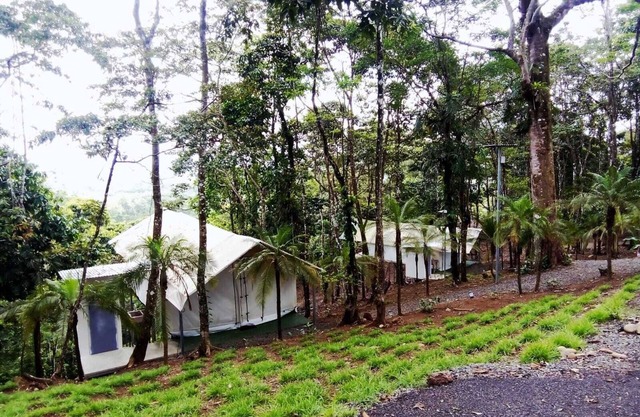 Volcano Tenorio Glamping Ranch - 3 Tents