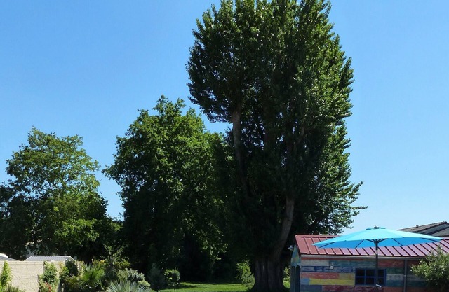 Vrbo Property