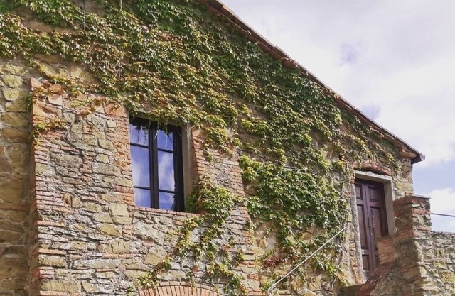 Vrbo Property