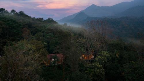 Vythiri Mist Resort
