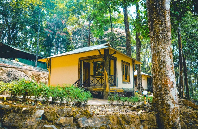 Vythiri Wild Forest Resort