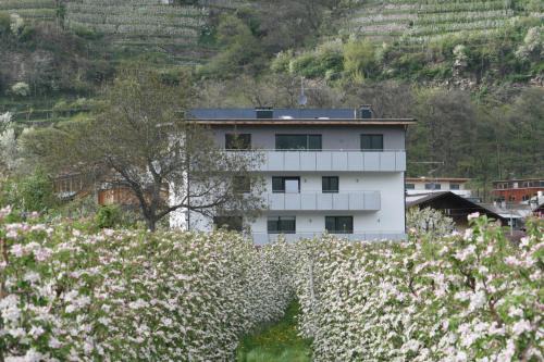 Waalhof Ferienwohnung Apfelblüte