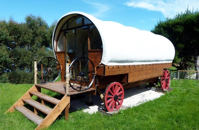 Wacky Stays - unique farm-stay glamping rentals, FREE animal feeding tours