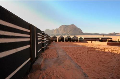 Wadi Rum Camp and Tours