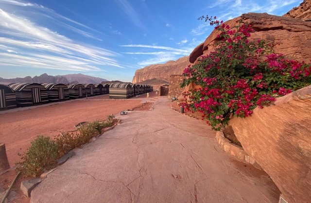 Wadi Rum Golden Camp & Tours