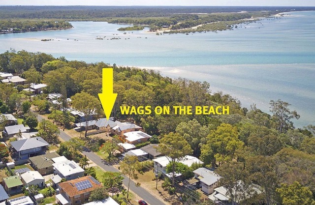 Wags en la playa - Toogoom