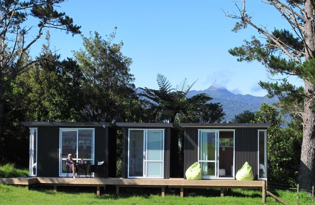 Waihi Gold Alpacas 1 or 2 people