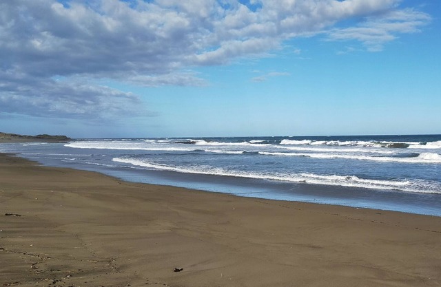 Wairarapa Coastal NZ Cottage with beach access