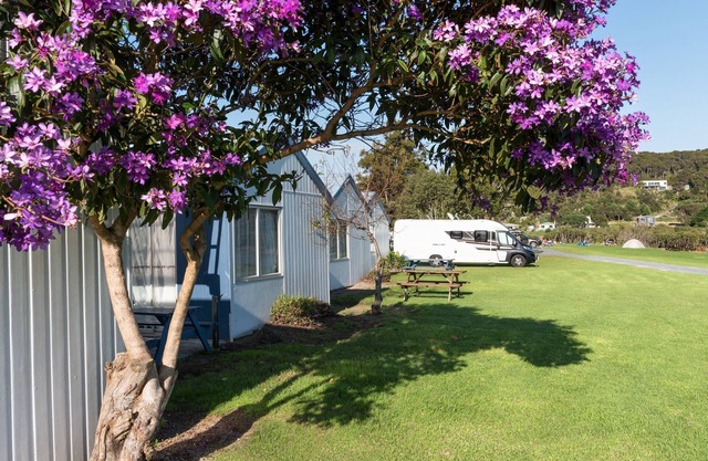 Waitangi Holiday Park