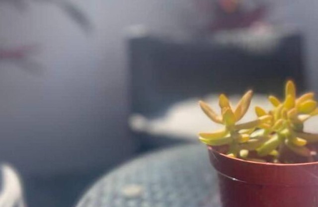 Walk to Beach Apt. 1 Cabarete