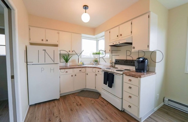 Walkable Downtown Lynden home- Mid Century Modern home w/ Mountain Views
