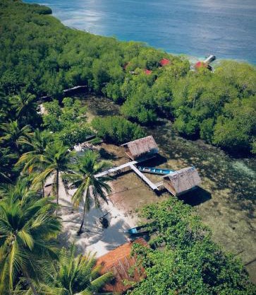 Walking Shark Guest House