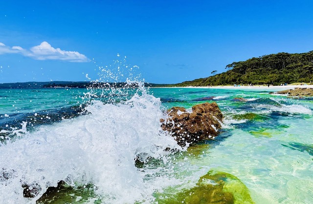 Walters Holiday Flats @ Hyams Beach (Flat 1) - Book 7 nights pay for only 6*
