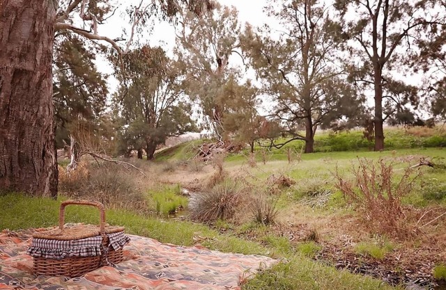 Wandayali Creek Guesthouse ~ a cosy farmstay just 25 mins to Wagga Wagga