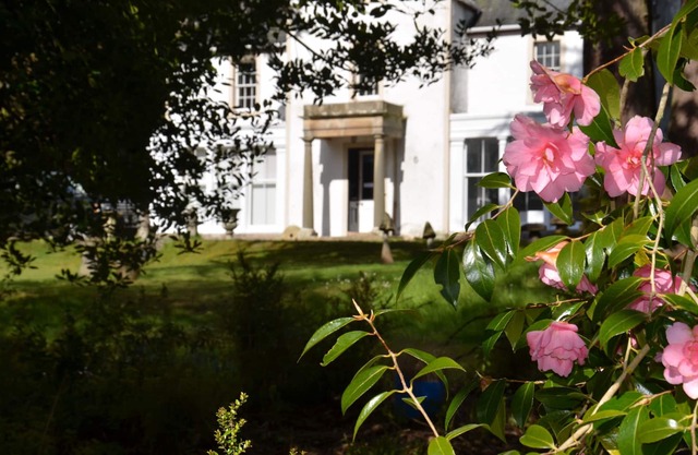 Wardlaw House - a house that sleeps 6 guests in 3 bedrooms