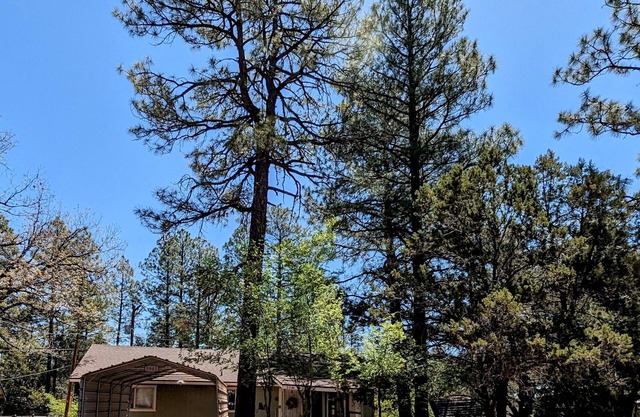 Warm & Relaxing Home, Pet Friendly and Full Fenced Yard.