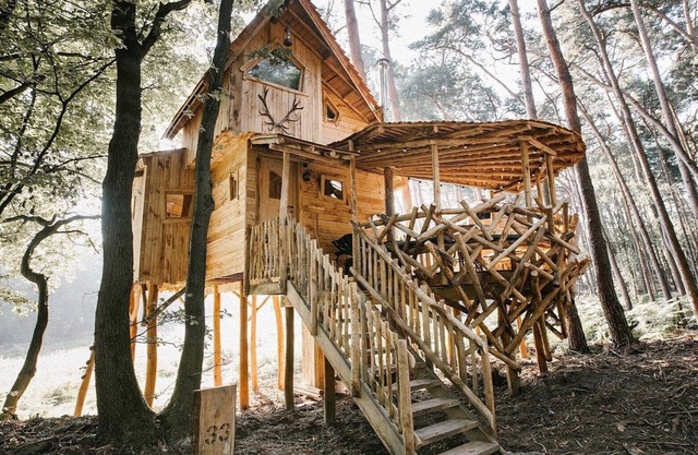 Warredal's most beautiful treehouse
