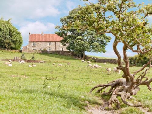 Warren Farmhouse